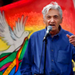 Picture of Howard Zinn