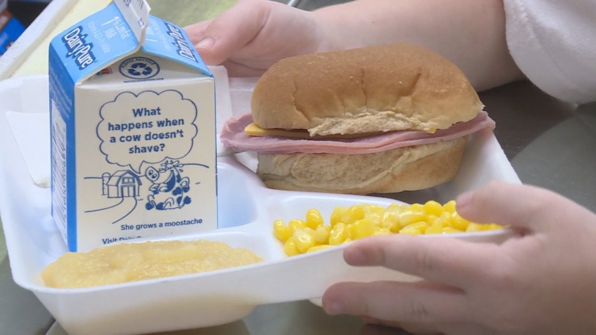 school lunch