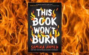 this book wont burn 1 - Bucks County Beacon - Culture