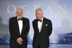 Ocean Film - Bucks County Beacon - Culture
