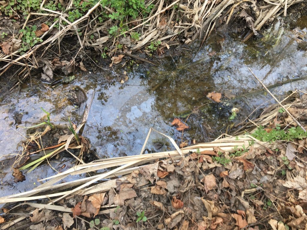 Contaminated water - Bucks County Beacon - Pennsylvania Department of Environmental Protection Calls for Investigation into Potential Contaminants in Trumbauersville Waterway